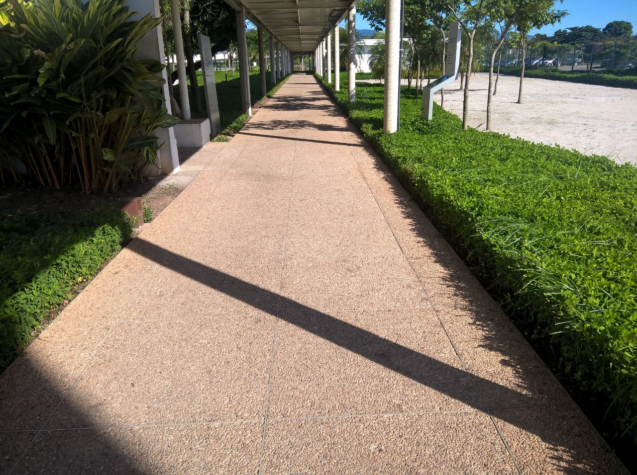 20 jardinagem CEPTIS.jpg